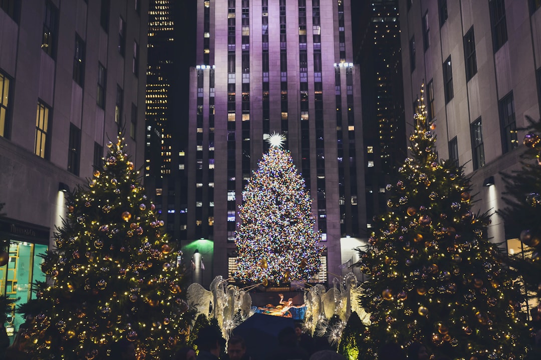 lighted Christmas trees,