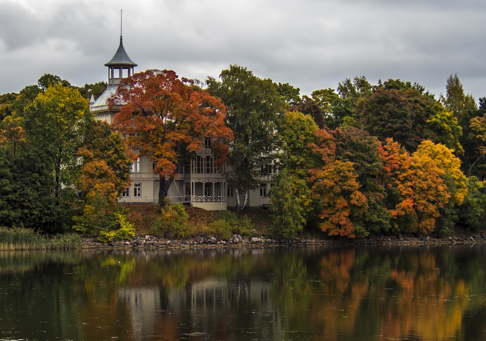 lake near house surrounded by trees