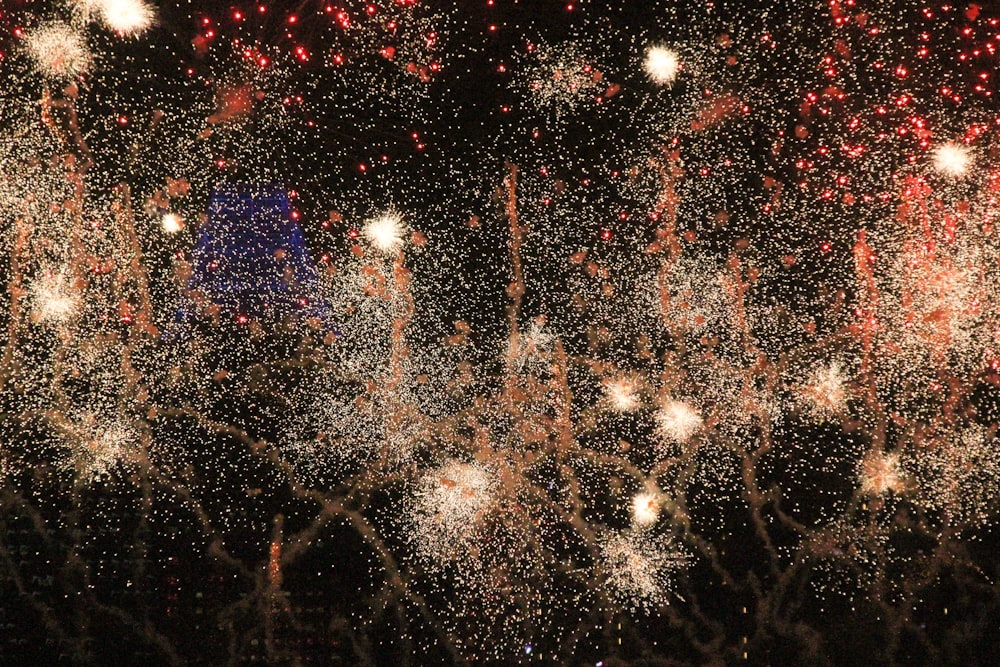 Fuegos artificiales por la noche