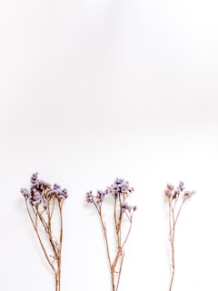Fresh lavender sprigs laid out on a wooden table