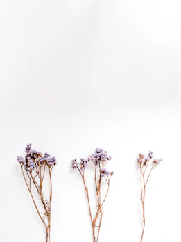 A trio pack of lavender sachets elegantly arranged on a white background with gentle shadows.