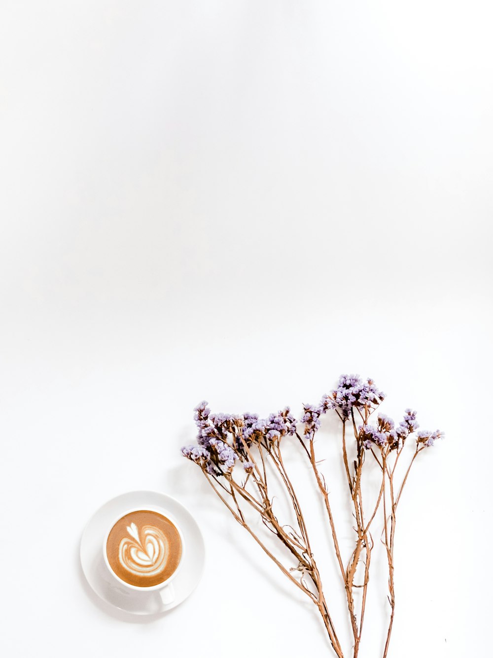 Cappuccino neben lilablättrigen Blüten