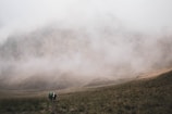 A group hiking through a misty mountain trail at dawn.