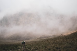 A group hiking through a misty mountain trail at dawn.