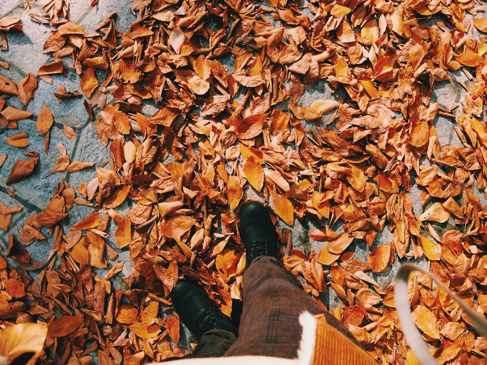 person standing on gray concrete ground with dry leaves