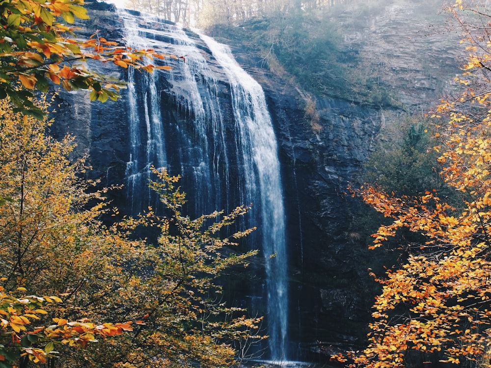 waterfall during daytime