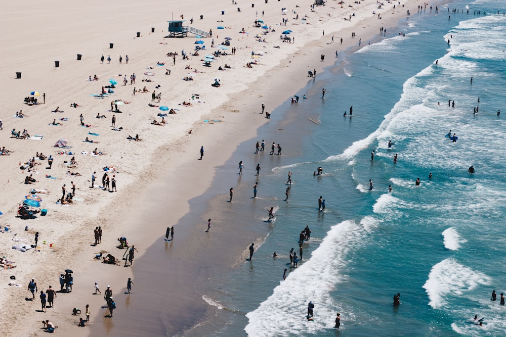 aerial photography of people along white sand beach