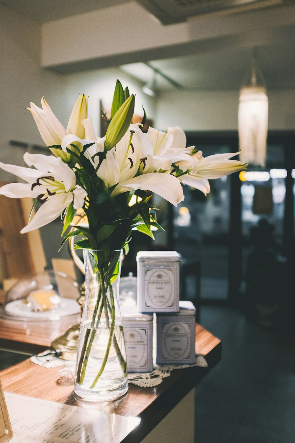 Foto flores de pétalos blancos en un escritorio de madera – Imagen Planta  gratis en Unsplash