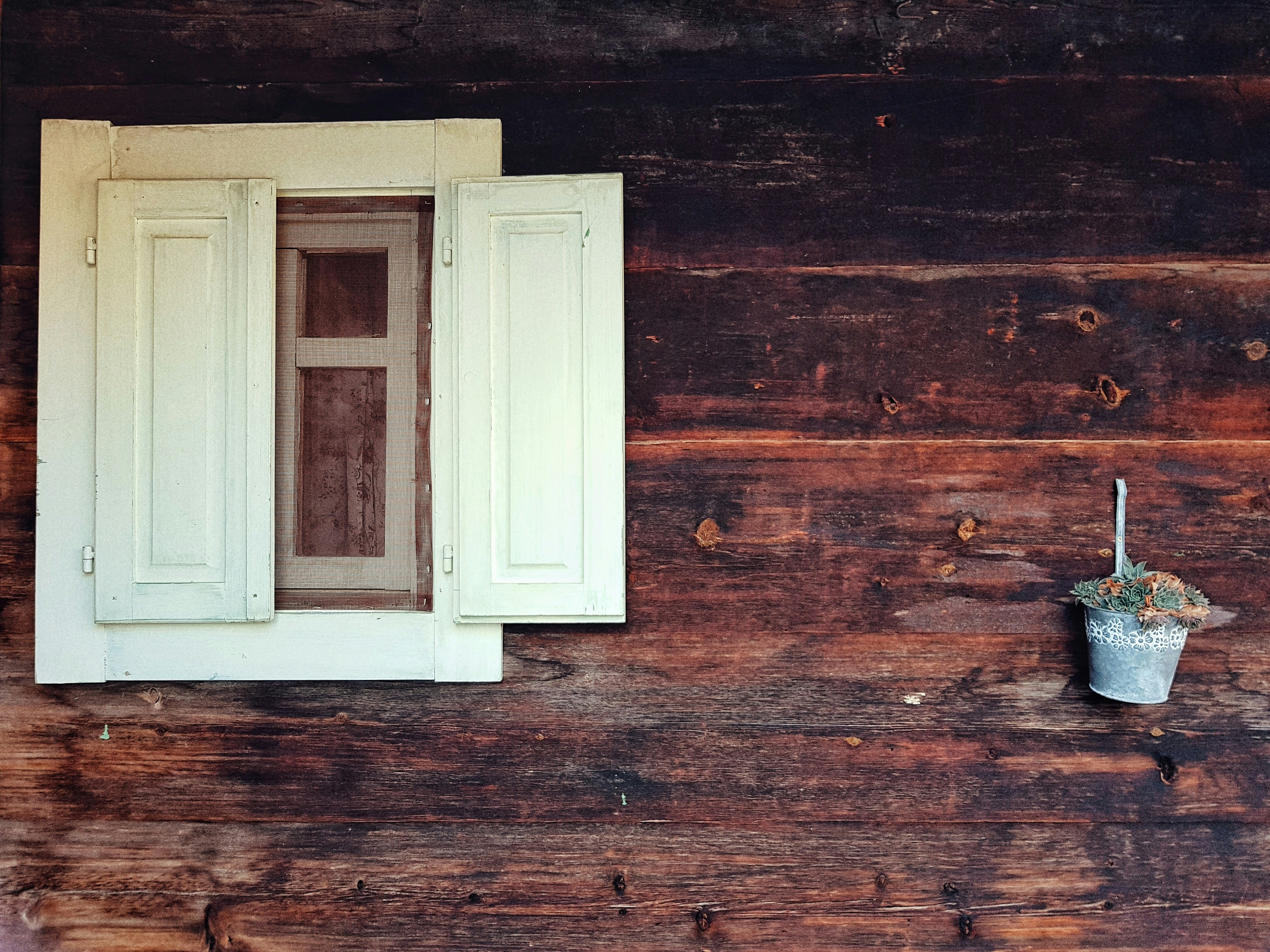 finestra di legno bianca accanto al secchio dei fiori sul muro