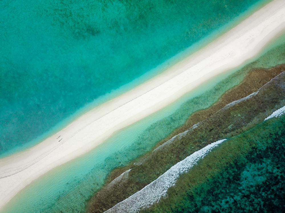 日中の水域のそばの島の航空写真