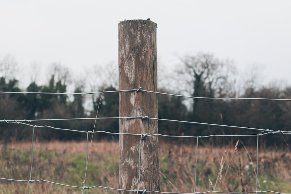 gray fence ahead