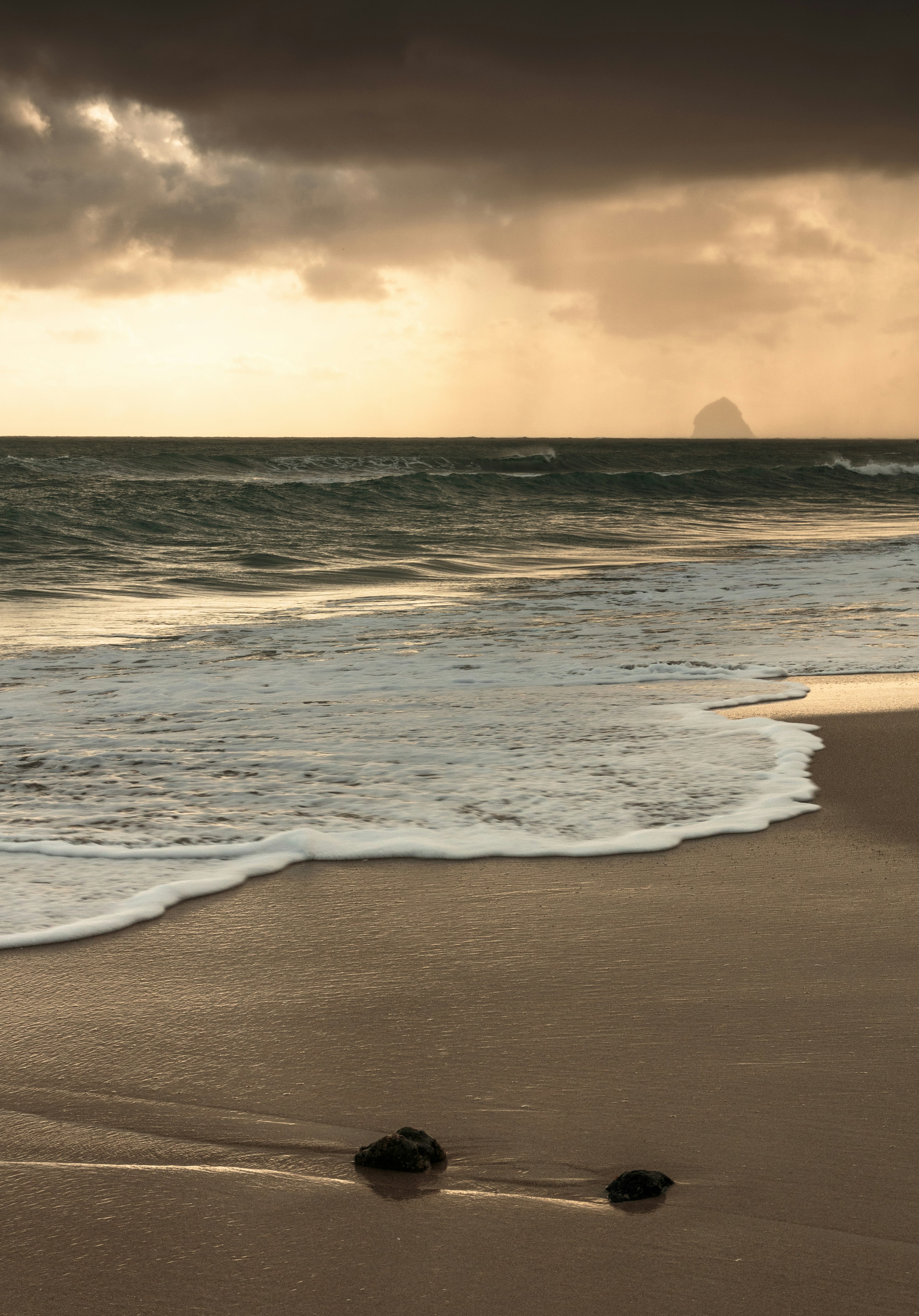 seashore during golden hour