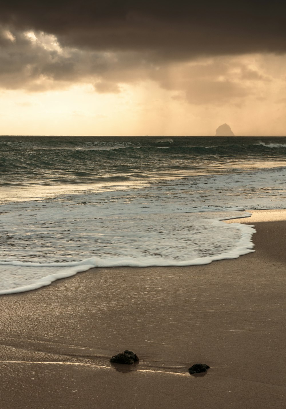 seashore during golden hour