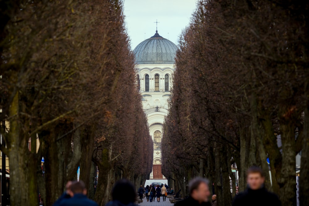 people walking on street