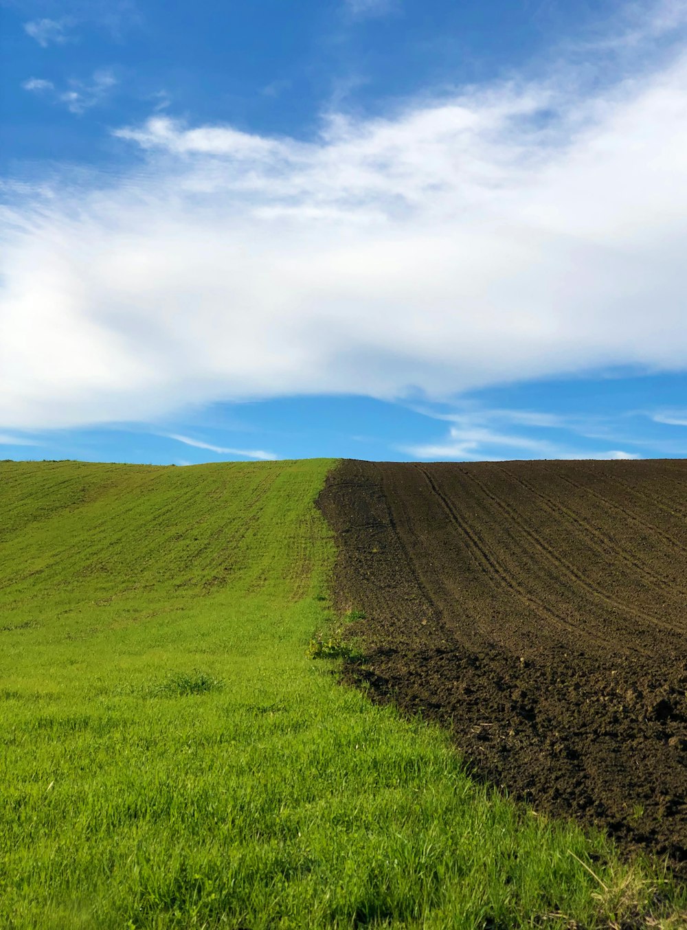 green and brown fields