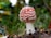A vibrant red mushroom with white spots is growing in a natural forest setting. The cap is covered in distinct, raised white patches, and it stands out against a blurred background of green foliage and earthy tones. The stem is white and firm, emerging from the soil with some small twigs and leaves around.