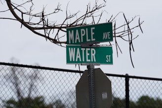 Green street signs labeled Maple Ave and Water St are attached to a metal pole. A chain-link fence and bare tree branches are visible in the background.