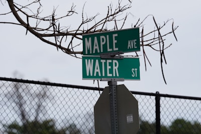 Green street signs labeled Maple Ave and Water St are attached to a metal pole. A chain-link fence and bare tree branches are visible in the background.