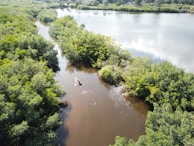 brown boat on calm body of water surrounded by trees