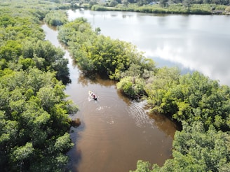 brown boat on calm body of water surrounded by trees