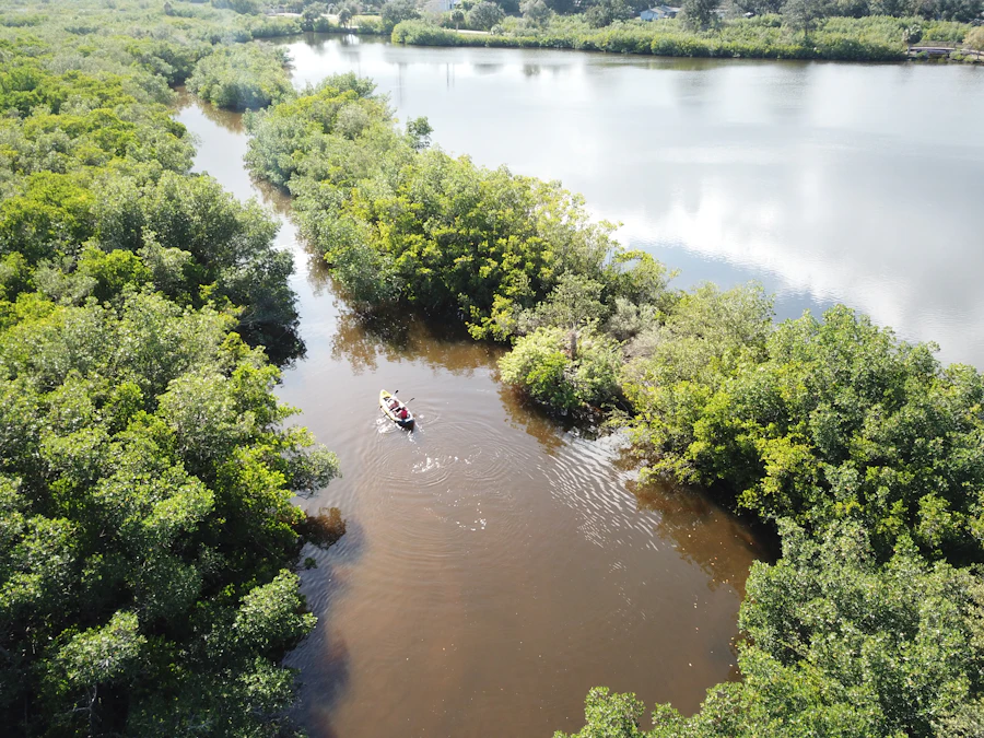 Boat resting on calm water surrounded by trees