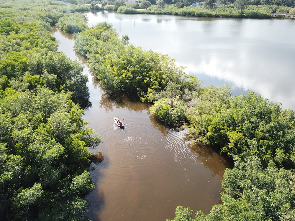 brown boat on calm body of water surrounded by trees