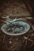 A shallow, weathered dish is partially filled with soil or ashes, scattered coins, and debris. The setting appears to be outdoors on rough terrain, surrounded by dry twigs and leaves.