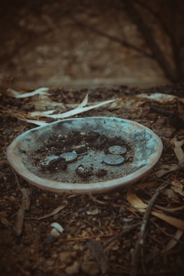 A shallow, weathered dish is partially filled with soil or ashes, scattered coins, and debris. The setting appears to be outdoors on rough terrain, surrounded by dry twigs and leaves.