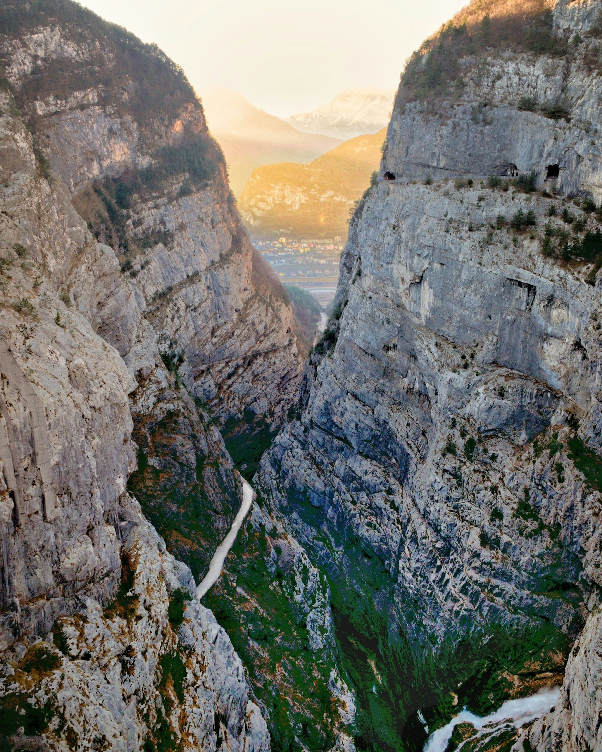 Photo by martino_pietropoli