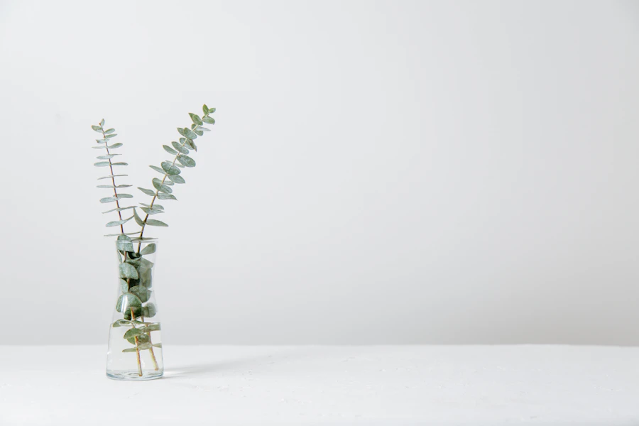 Two eucalyptus stems in a clear glass vase