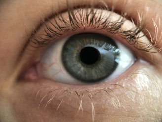 A close-up image of a human eye with detailed focus on the iris and eyelashes. The iris is a complex mix of green and gray tones, surrounded by detailed fibrous textures. The eyelashes are prominently captured, showcasing their curvature and natural alignment.