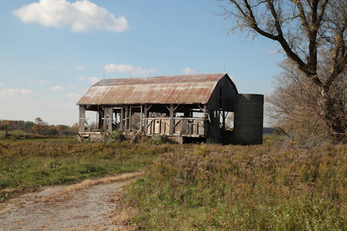 A team clearing out an old barn filled with debris under a bright sky.