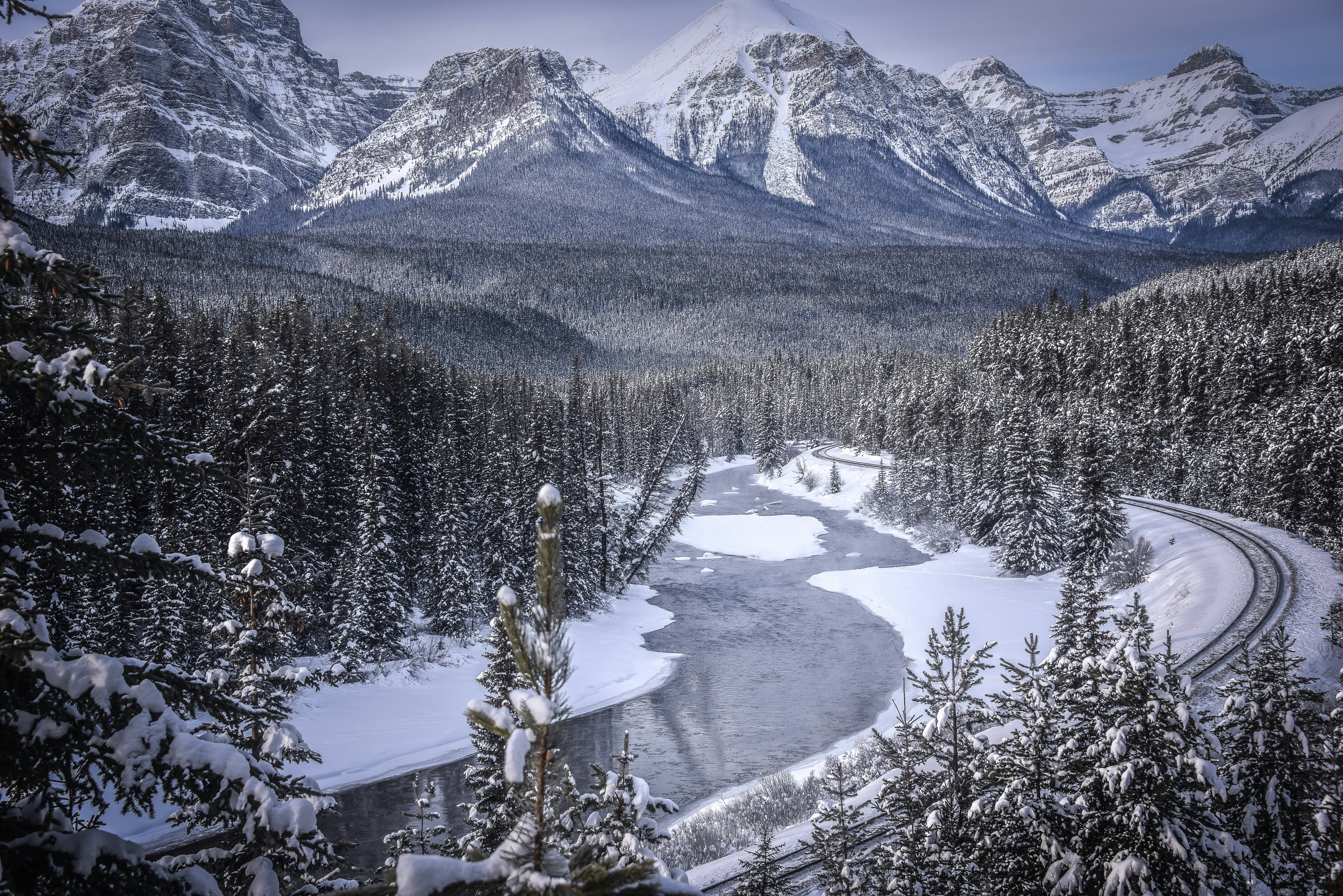 trees and mountains during winter season