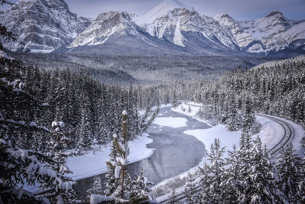 trees and mountains during winter season