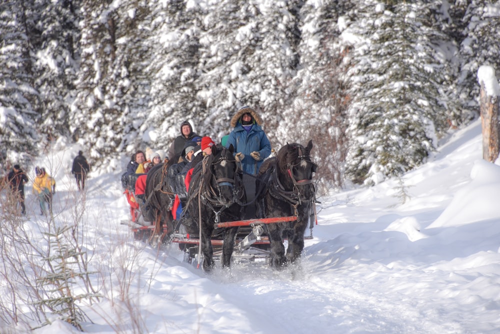time-lapse photography of people riding horse carriage along snow-covered mountain