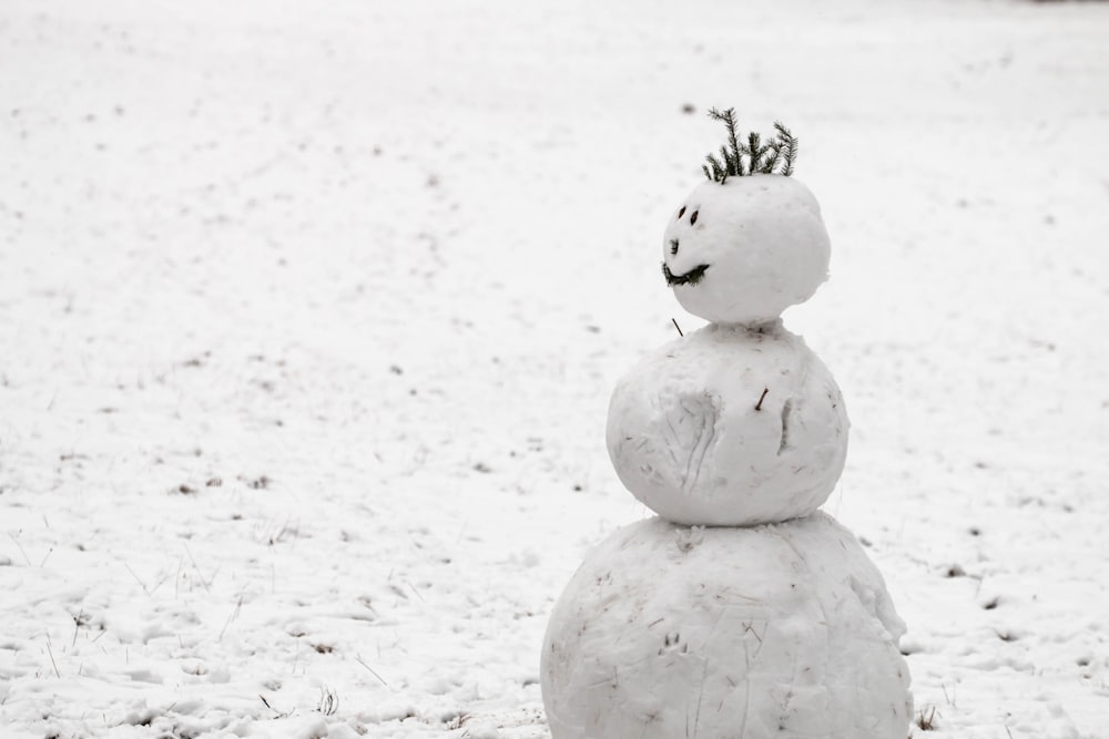 La nieve hizo un muñeco de nieve en un campo cubierto de nieve durante el día