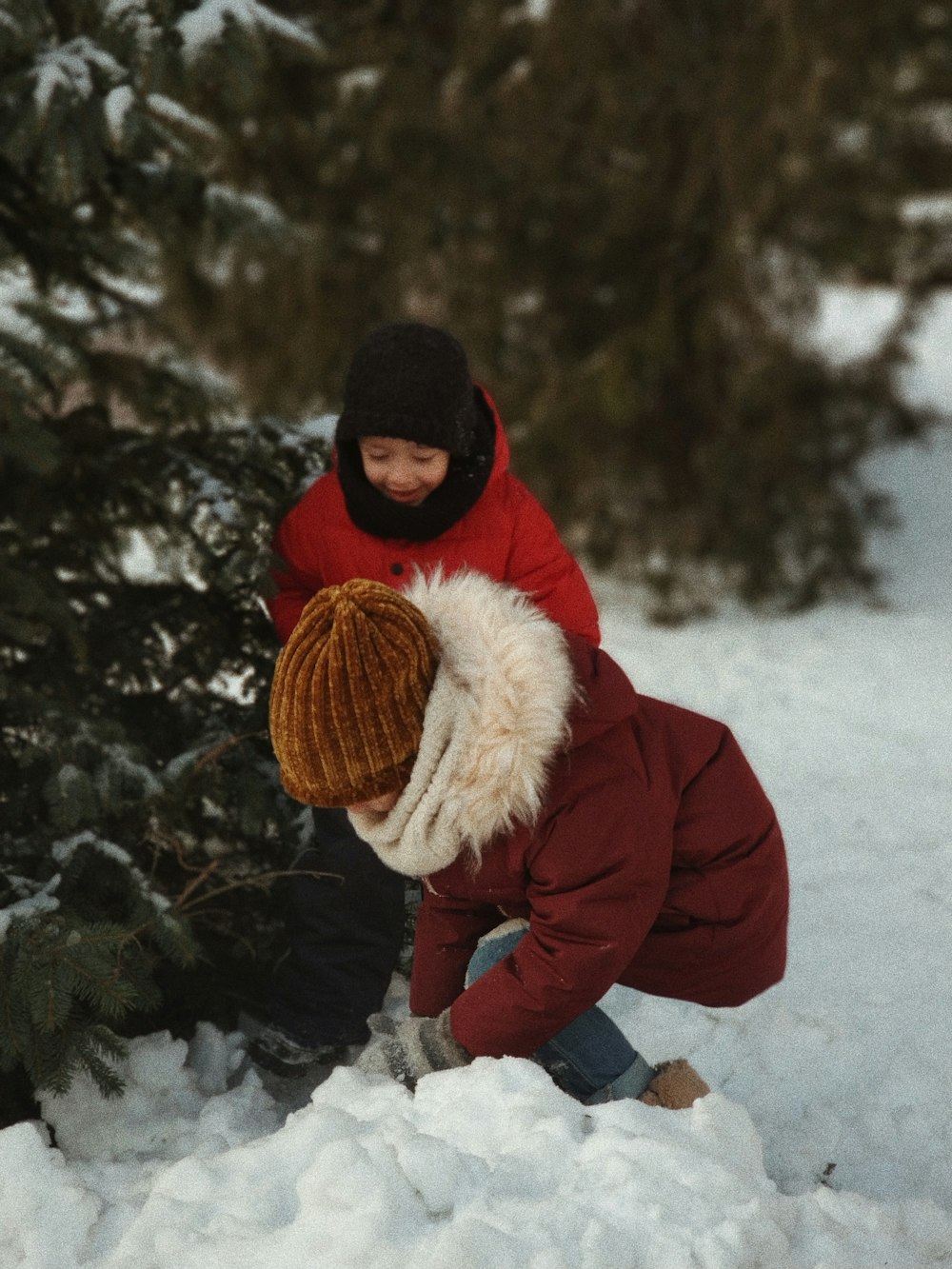 duas crianças brincando com neve perto da árvore
