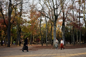 A wooded park area with tall trees showcasing autumn foliage. The leaves display shades of orange, yellow, and brown. Several people are walking along a paved path, dressed in casual clothing suitable for cooler weather.