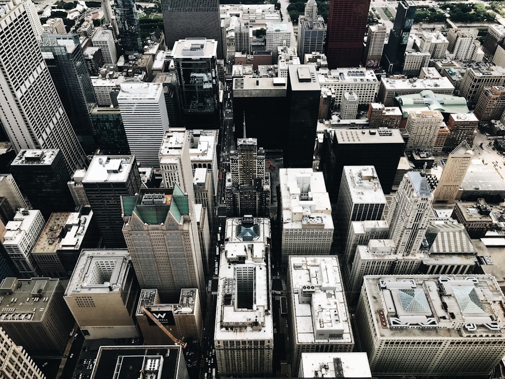 aerial photography of city skyline during daytime