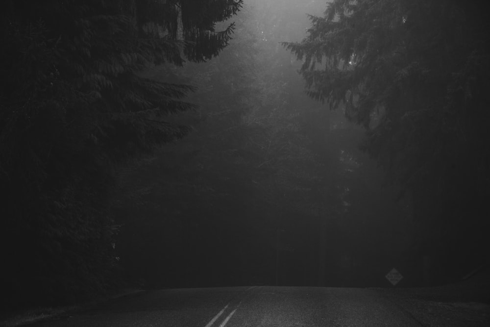 greyscale photo of road surrounded by trees during daytime