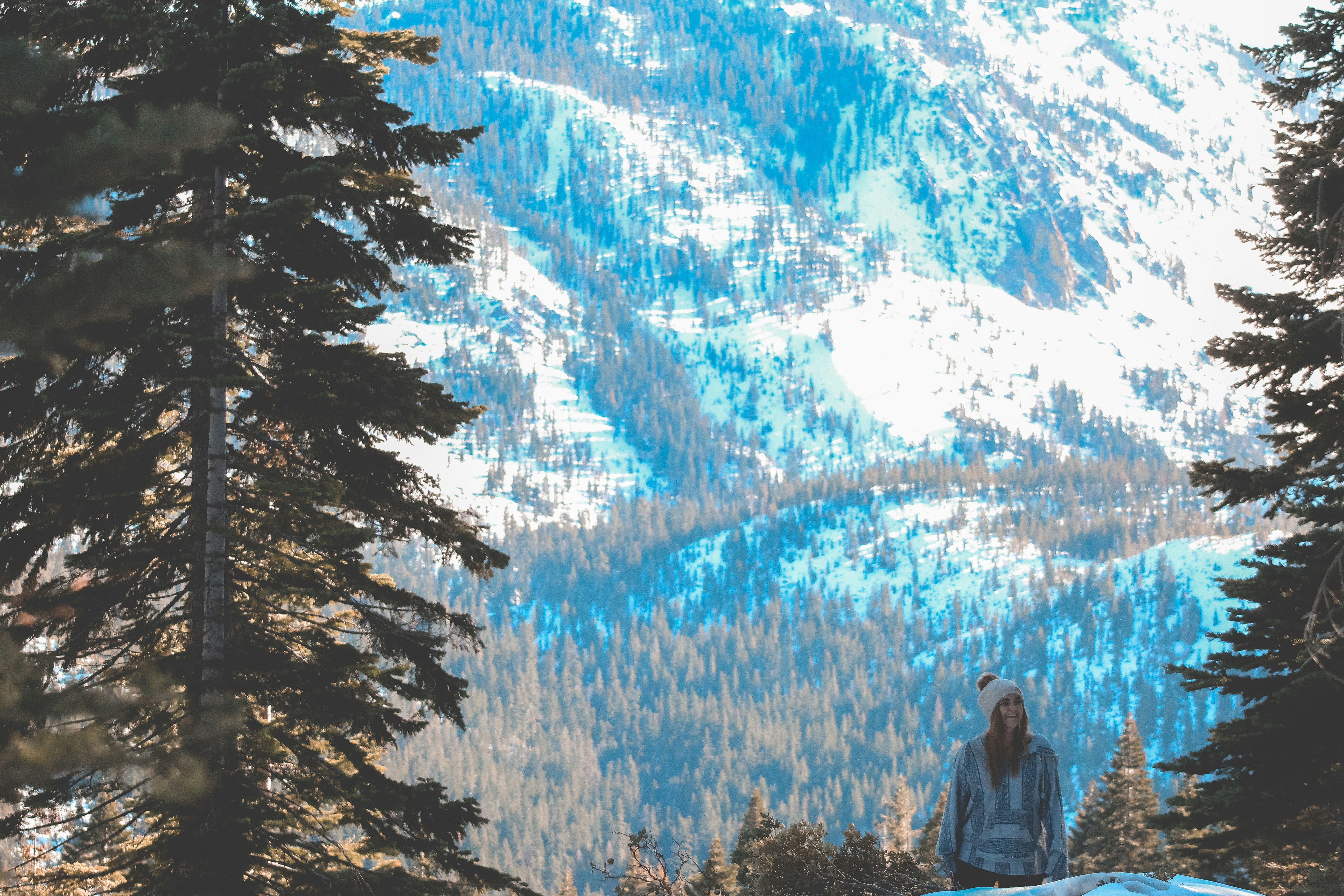 Paysage de montagne