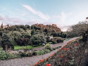 Historic castle perched on a green hill surrounded by wildflowers in full bloom