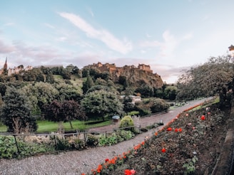 Historic castle perched on a green hill surrounded by wildflowers in full bloom
