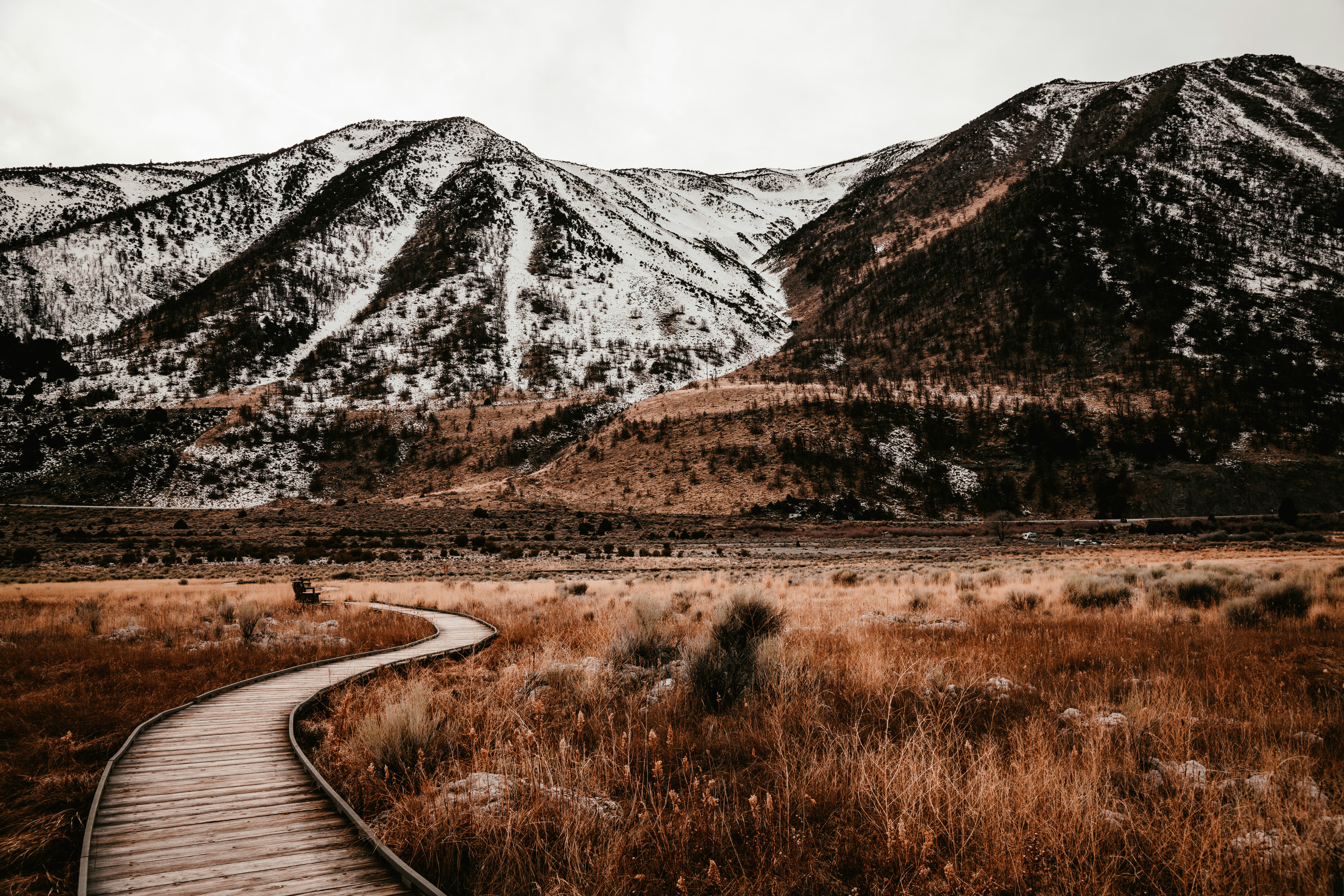 Photo by hariprasad000