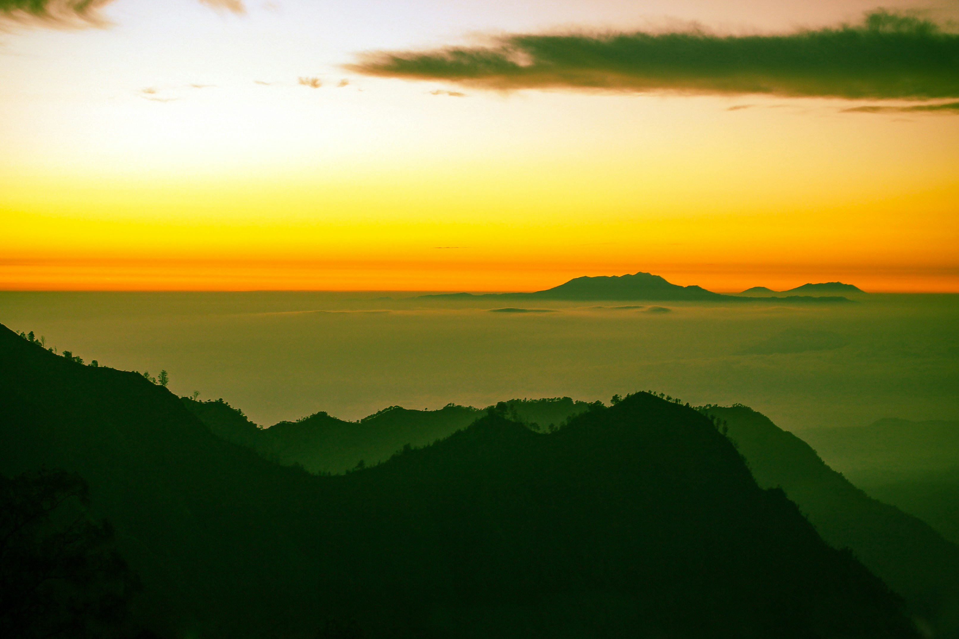 Photo by hellovionafth