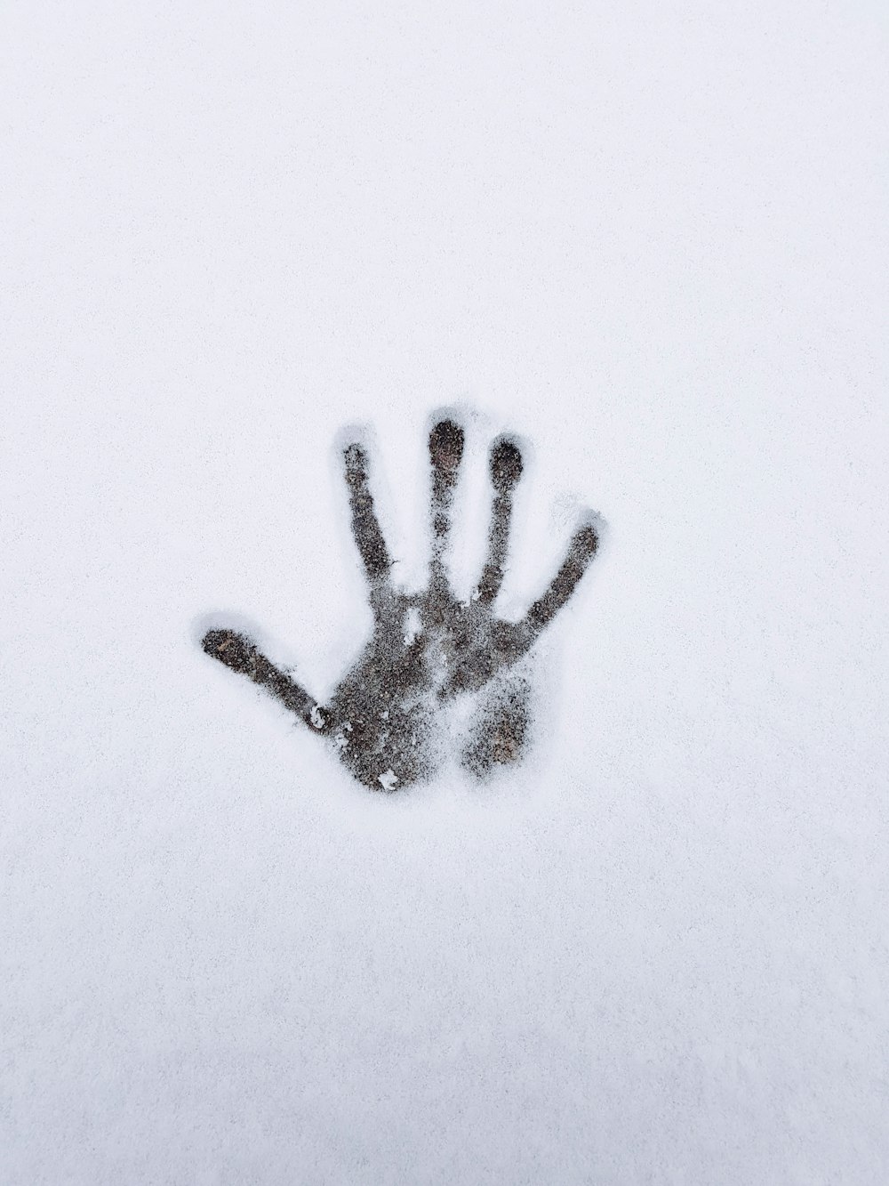 human palm on snow