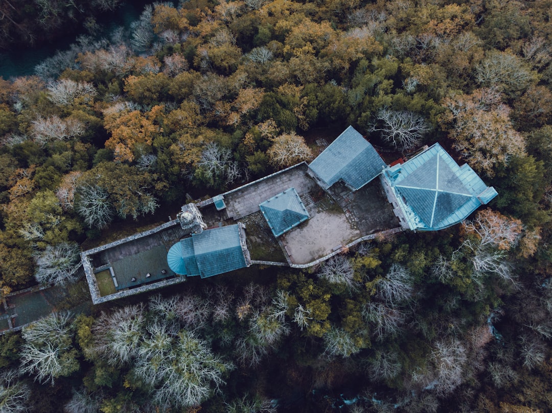 aerial view of trees and building