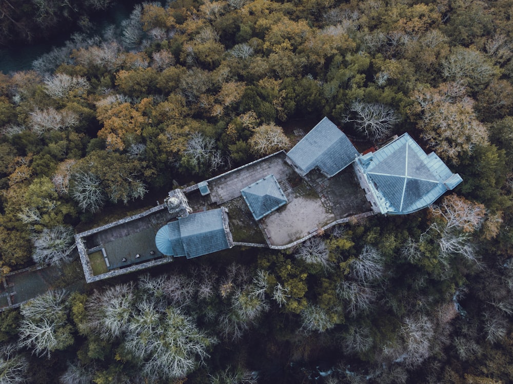 aerial view of trees and building