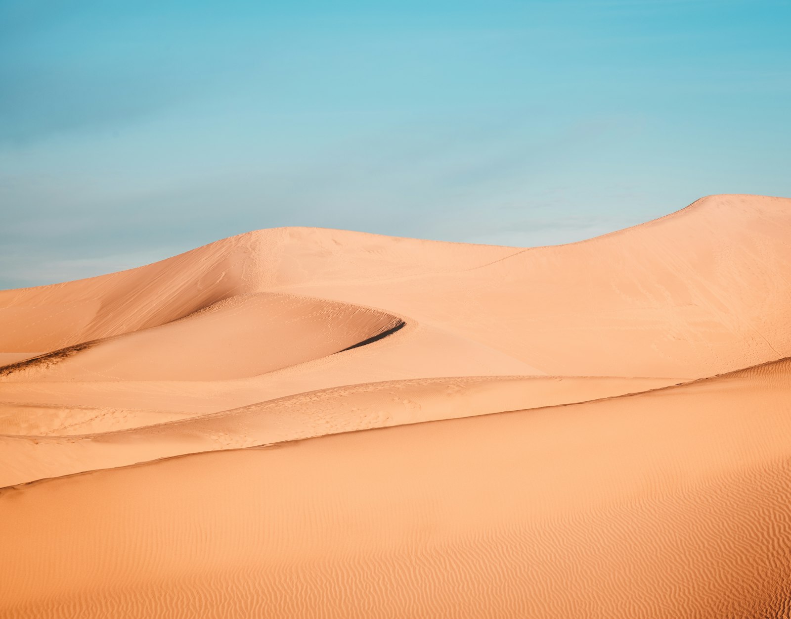 Nikon D850 + Nikon AF-S Nikkor 24-120mm F4G ED VR sample photo. Brown desert during daytime photography