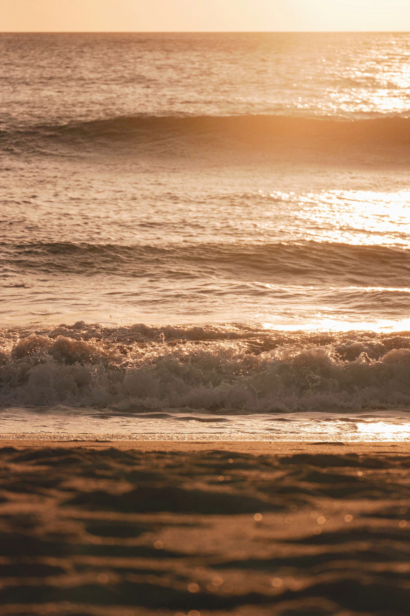 Real ocean wave breaking on the California coast at golden hour